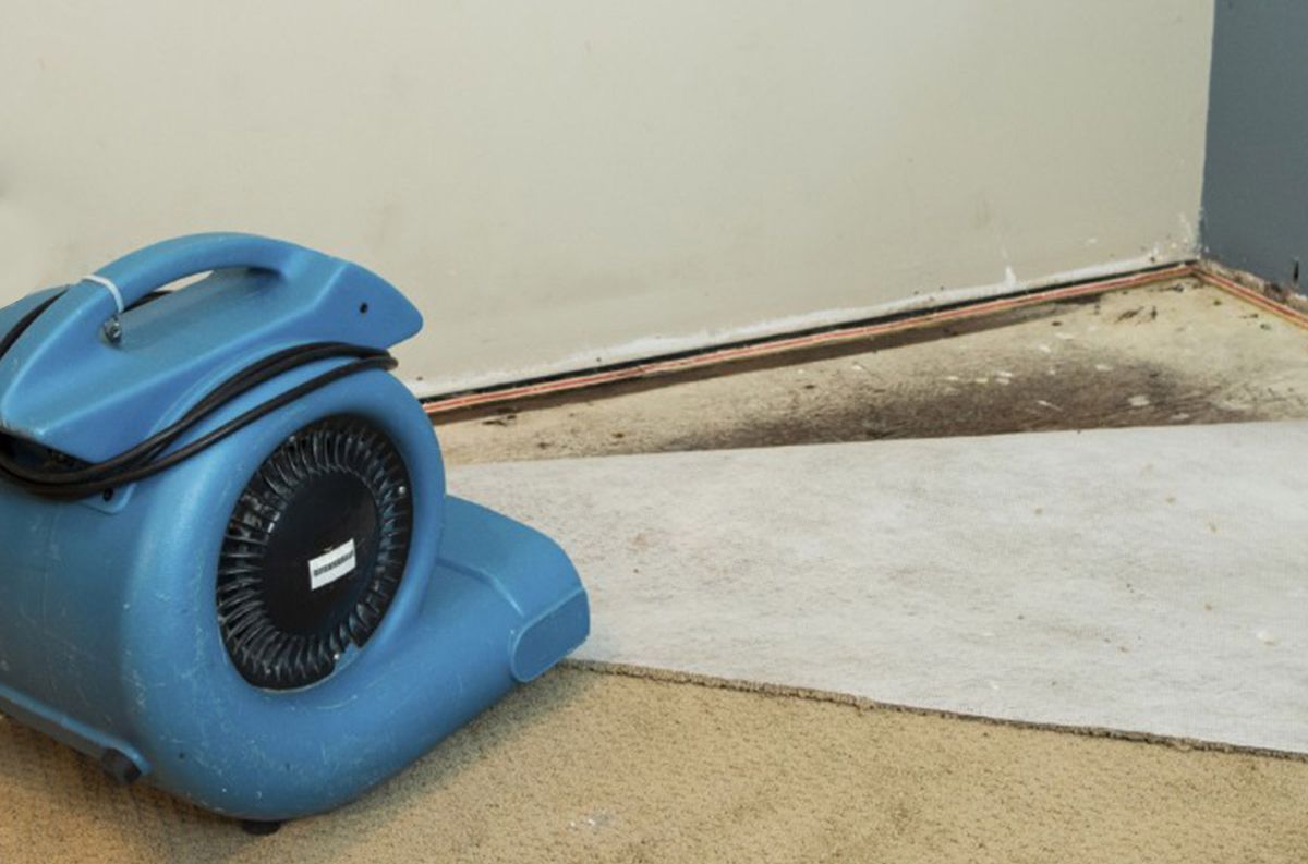 The Most Effective Way to Solve Humidity Issues at Home: Dehumidifiers
