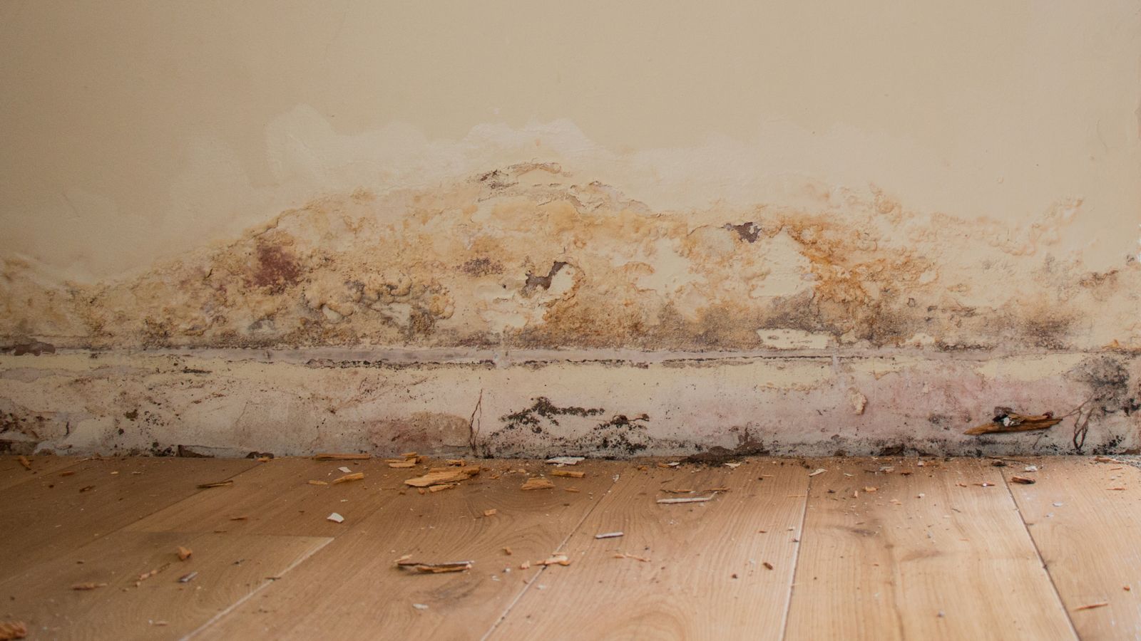 Dehumidifier or Air Conditioner? Which is More Effective?