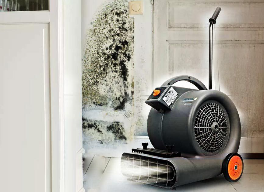 What is a Dehumidifier and How Does It Work?
